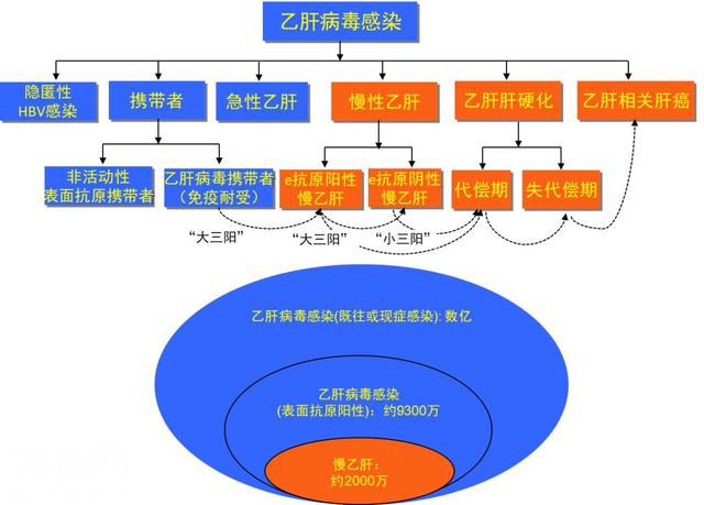 婆婆感染乙肝病毒，表妹“大三阳”，我该怎么和她们相处？-3.jpg