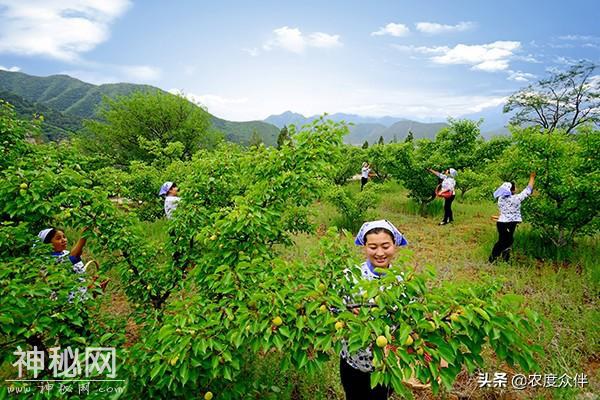 美丽乡村，夏纳凉：山西省大同市灵丘县，灵丘民俗风情游-3.jpg