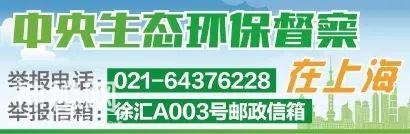 鸟类生活的天堂！嘉定唯一的野生动物栖息地，你知道吗？-11.jpg