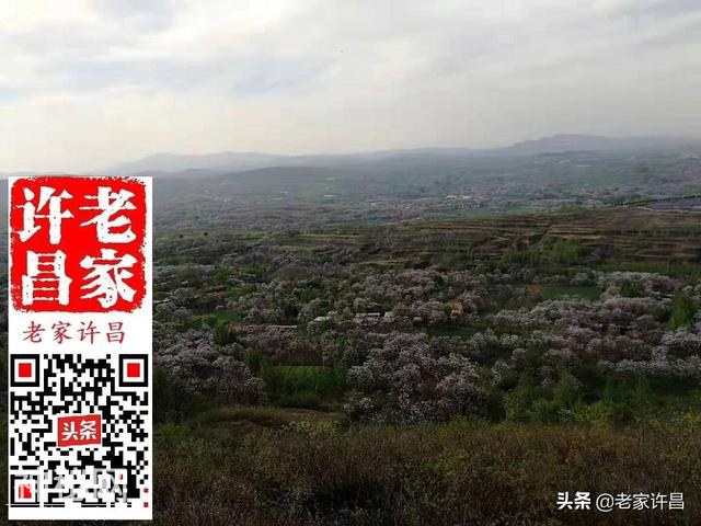 挖出古墓群的禹州此村，究竟埋着多少谜团？-2.jpg