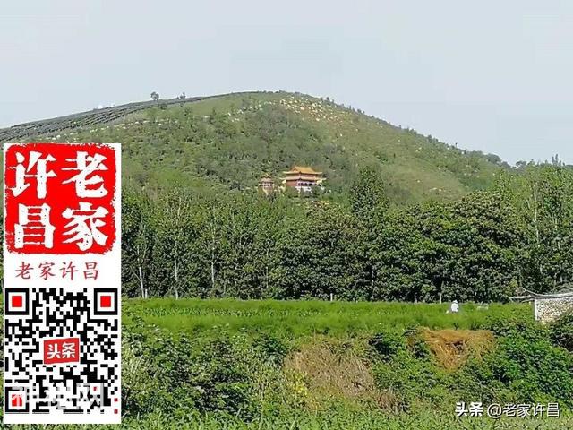 挖出古墓群的禹州此村，究竟埋着多少谜团？-7.jpg