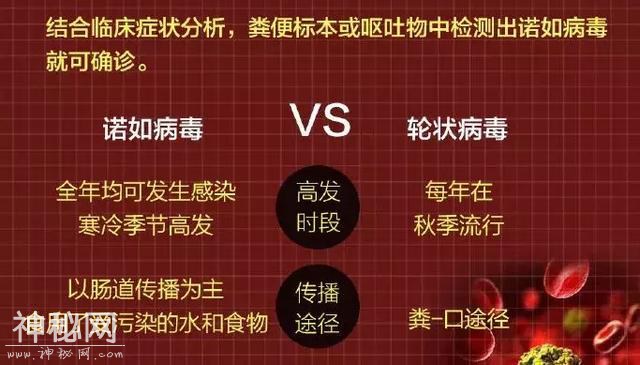 诺如病毒怎么防？收好这份指南-2.jpg