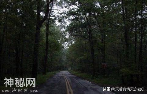 全球四大夜间最KB的灵异道路-1.jpg