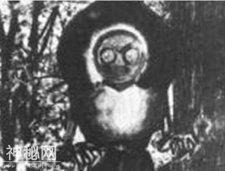 全球鲜为人知的五大未知生物，在中国就曾出现过3种-1.jpg