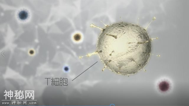 广州抗癌黑科技打一针有望起效 李懿博士新药临床试验安全性良好-2.jpg