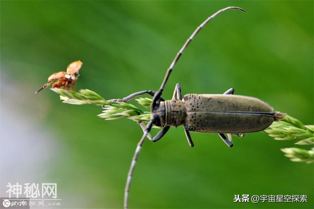 「元素家族」从化学看宇宙、地球、人类的过去和未来-3.jpg