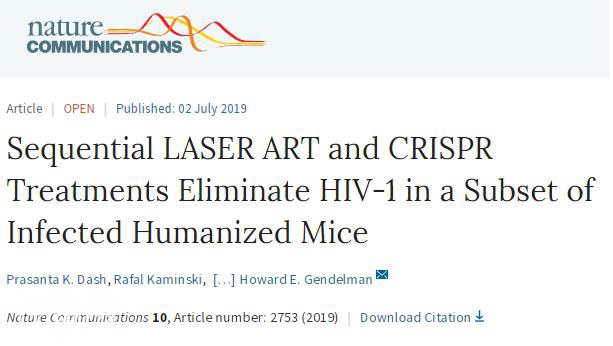 世界首次：研究人员从小鼠体内完全清除HIV病毒-1.jpg