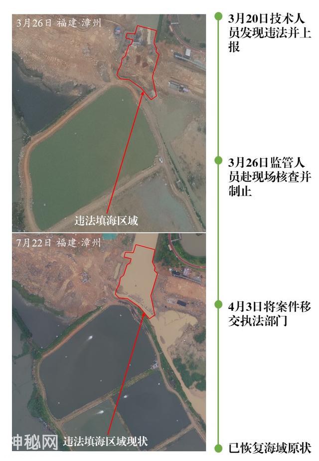 自然资源部：上半年发现并制止违法填海行为8处-3.jpg