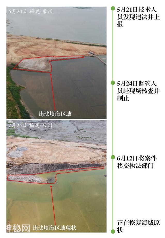 自然资源部：上半年发现并制止违法填海行为8处-6.jpg