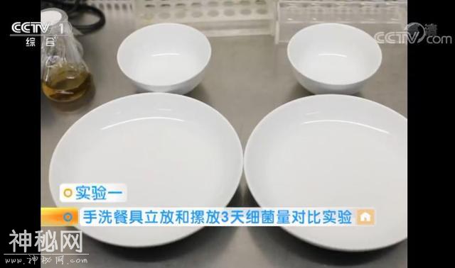 这样放餐具细菌倍增！快来自查您家的餐具放对了吗？-3.jpg