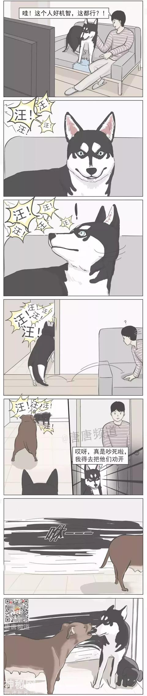 搞笑漫画：二哈也学会占便宜哈哈哈哈哈-4.jpg