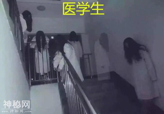 不同专业的毕业照，理科生VS文科生，看到医学生，是鬼片？-6.jpg