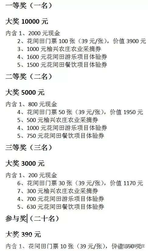 素朴李家庄花间田汉唐民俗文化艺术节正式开幕，带来一场视听盛宴-26.jpg