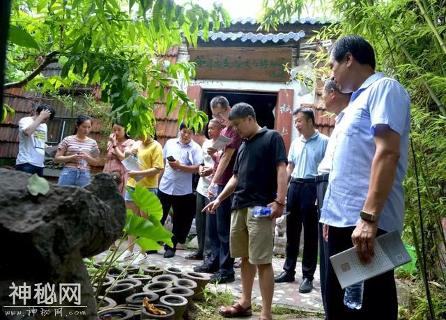 省文物局左俊涛副主任、省文物考古研究院朱树正主任一行到华威民俗文化博物苑调研-8.jpg