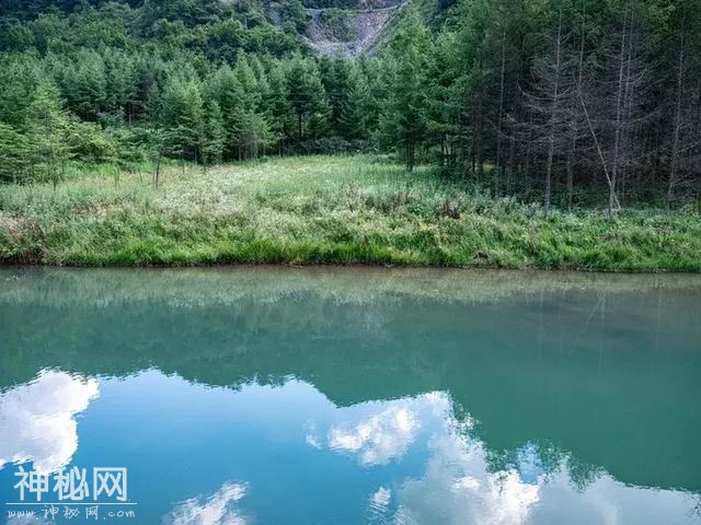 醉美龙桥?土家山寨避暑音乐季盛大启幕，邀你来避暑、赏景、品美食、看民俗表演-8.jpg