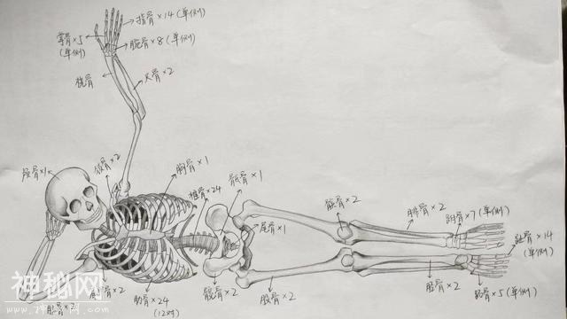 她627分考入北大考古文博学院，凭2幅画走红，网友：不学医可惜了-3.jpg