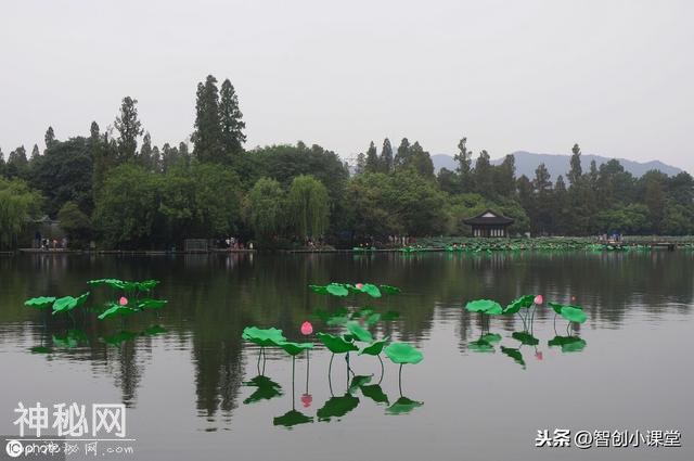 初中如何学好生物，学霸都是这么做的...-2.jpg