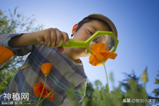 初中如何学好生物，学霸都是这么做的...-1.jpg