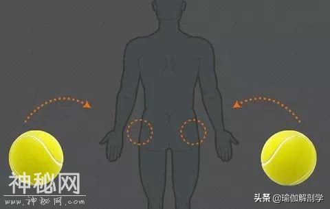 9大身体常见部位疼痛，一个网球帮你全部搞定（收藏级）-15.jpg