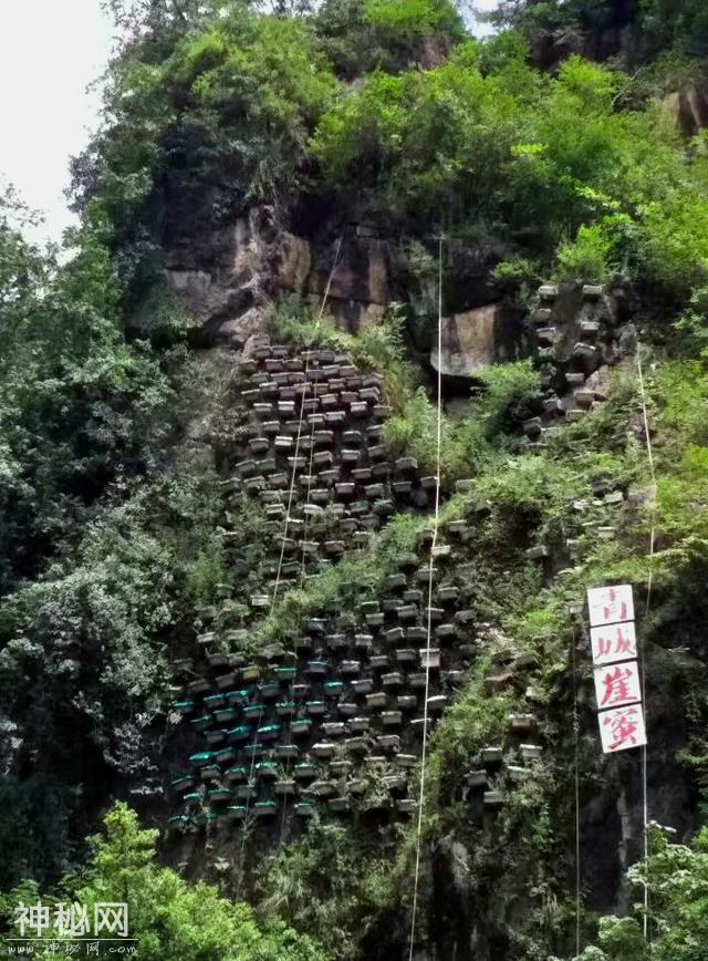 道教名山青城山，她的另一面隐情，你知道吗？-9.jpg