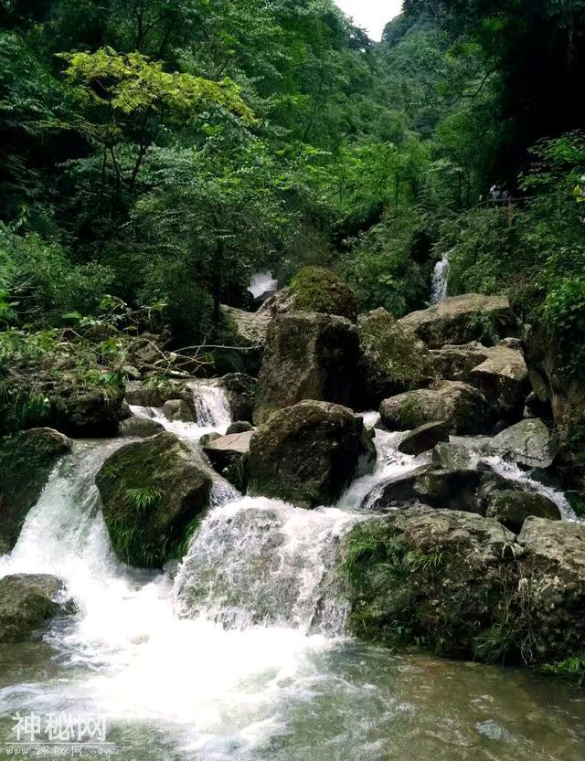 道教名山青城山，她的另一面隐情，你知道吗？-14.jpg