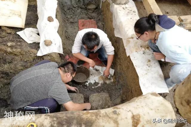 重磅！随州考古13位曾侯“重见天日”啦-11.jpg