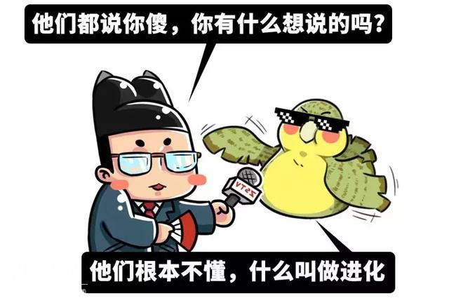 生物界网红三傻：为了适应生存环境，这些动物都变得如此沙雕-37.jpg