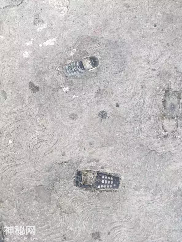 考古学家发掘出“手机化石”已经不是新鲜事了-11.jpg