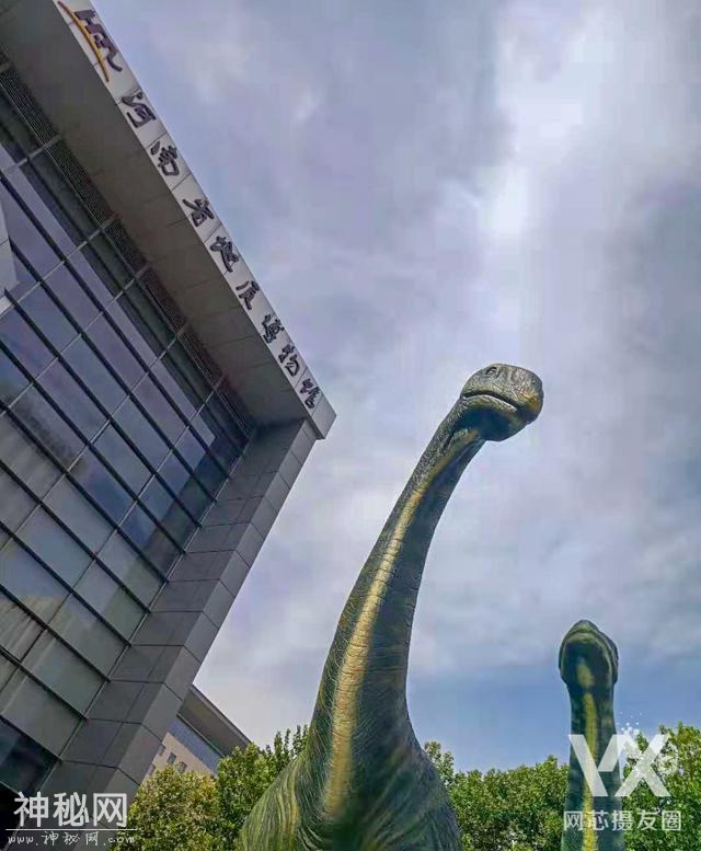 来这 漫步“侏罗纪公园”--河南省地质博物馆（下）-2.jpg