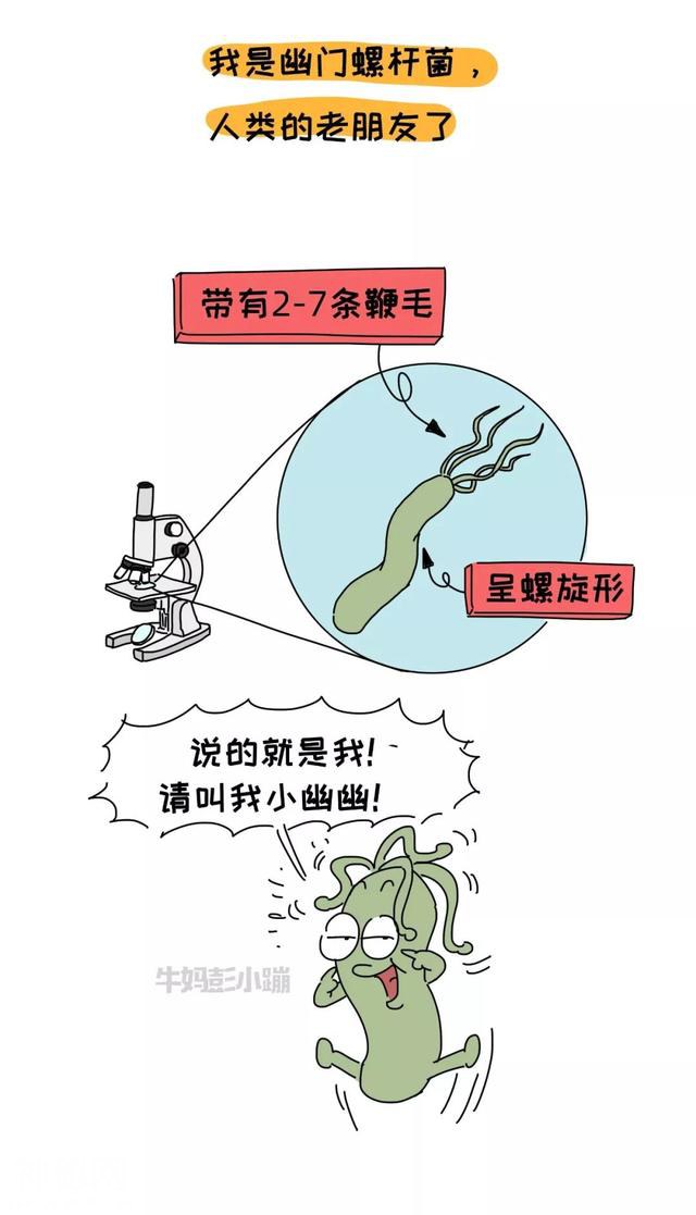 攻占了全球50%人的胃的细菌，一双筷子一个吻就能传染给孩子-1.jpg