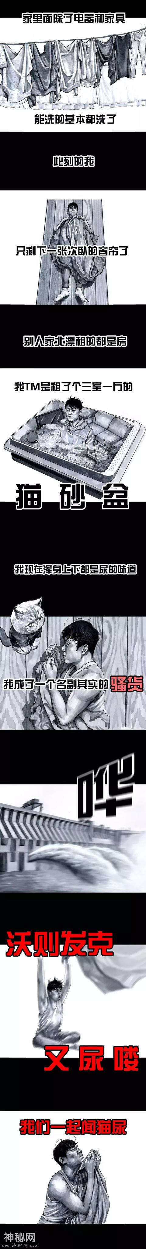 左手韩搞笑漫画 | 养猫为患-12.jpg