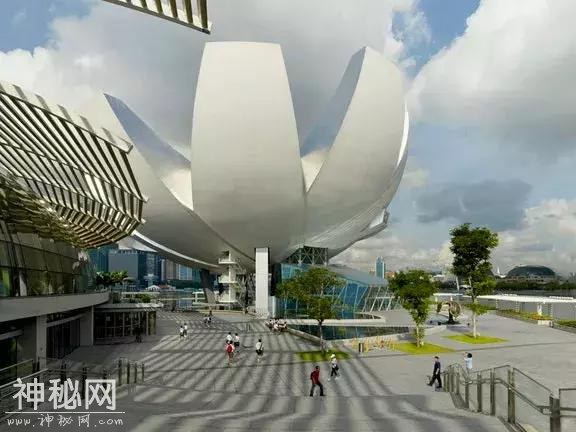 新加坡这些建筑都是从外星来的吧？感觉住在科幻片里-29.jpg