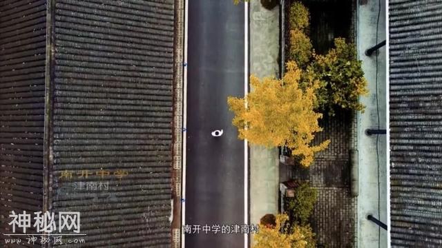 天地歌乐，人文沙磁。诗意沙坪坝的时代映迹-18.jpg