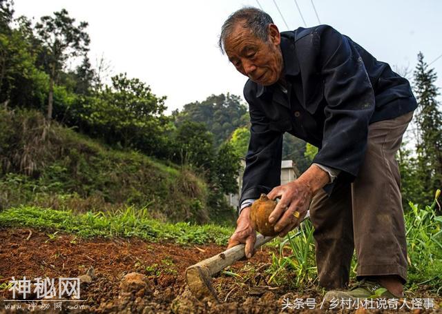 儿子结婚父母掏出压箱底的养老钱，听到他和儿媳对话，腿直哆嗦！-3.jpg