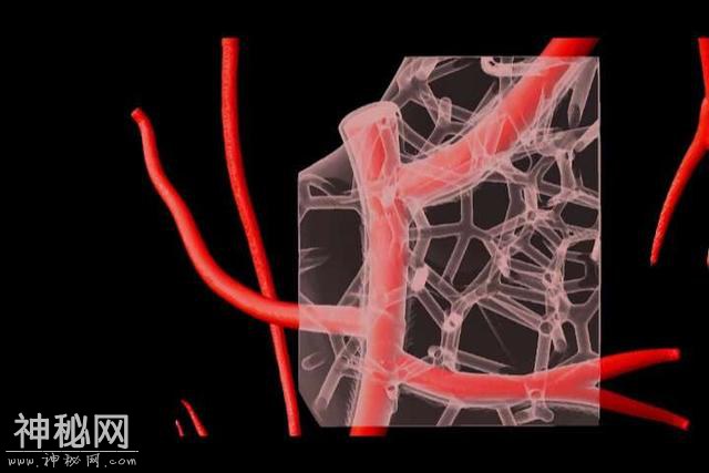 生物3D打印技术新突破，现在可以打印人体心脏与心脏结构了-1.jpg