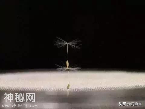 科学家：我们找到了新的飞行方式，未来制造飞碟或将成为现实-6.jpg