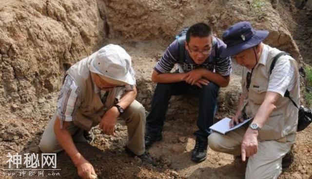 日本考古专家挖出70年前旧石器，差点改写本国历史，结果全是造假-1.jpg