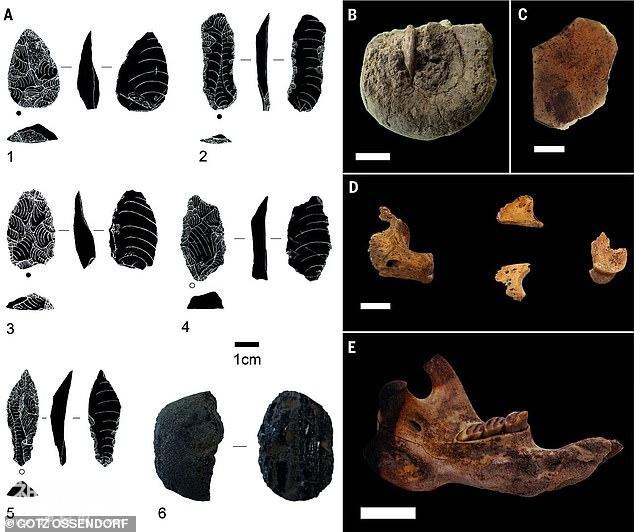 4万年前人类祖先，曾经在海拔4000米高山上生活，以巨型鼹鼠为食-4.jpg