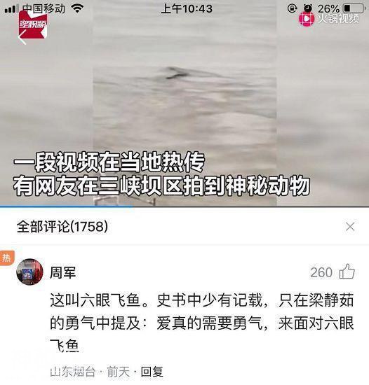 三峡坝区现“神秘水怪”？专家分析头头是道，真相令人大跌眼镜-2.jpg