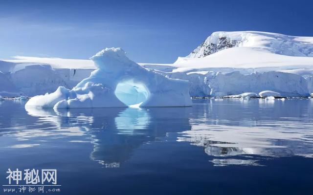 这里太热了！BBC《七个世界，一个星球》摄影师在南极哭了-1.jpg