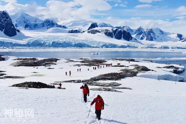 这里太热了！BBC《七个世界，一个星球》摄影师在南极哭了-2.jpg