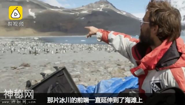 这里太热了！BBC《七个世界，一个星球》摄影师在南极哭了-5.jpg