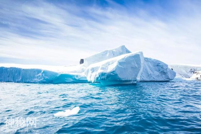 这里太热了！BBC《七个世界，一个星球》摄影师在南极哭了-4.jpg