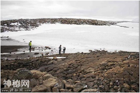 这里太热了！BBC《七个世界，一个星球》摄影师在南极哭了-13.jpg