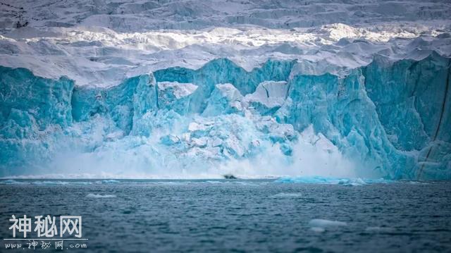 这里太热了！BBC《七个世界，一个星球》摄影师在南极哭了-27.jpg