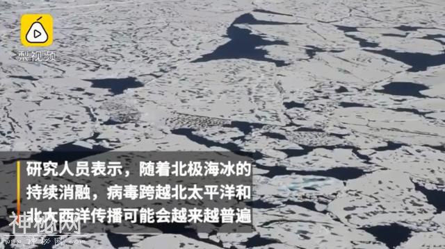这里太热了！BBC《七个世界，一个星球》摄影师在南极哭了-23.jpg