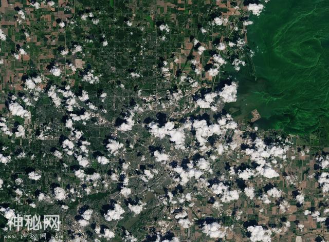 美国“伊利湖”蓝藻大规模爆发，是近年来发生的最严重水华现象？-6.jpg