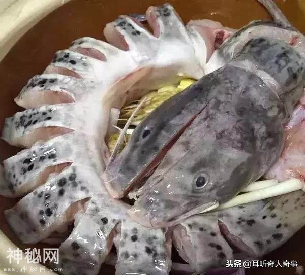最好吃的4种中国鱼，你吃过几种呢？-3.jpg