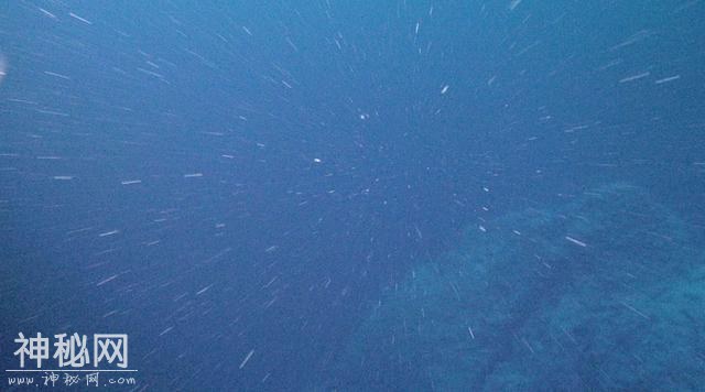 辟谣！海底一万米有未知巨型生物？只有些小鱼小虾！-12.jpg