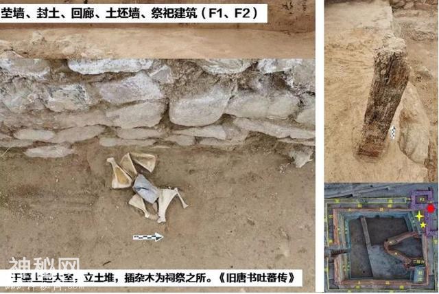 国家文物局发布四项重大考古成果！古墓里居然有这些……-19.jpg
